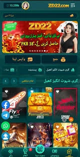 ZD22 Game